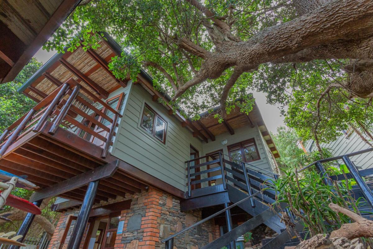 Wilderness Beach House Backpackers Lodge Ngoại thất bức ảnh