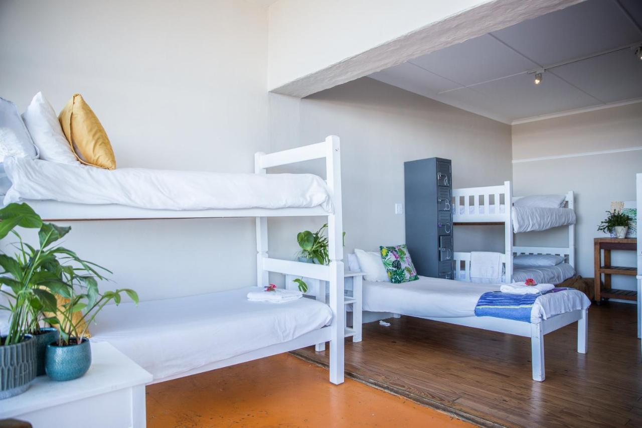 Wilderness Beach House Backpackers Lodge Ngoại thất bức ảnh