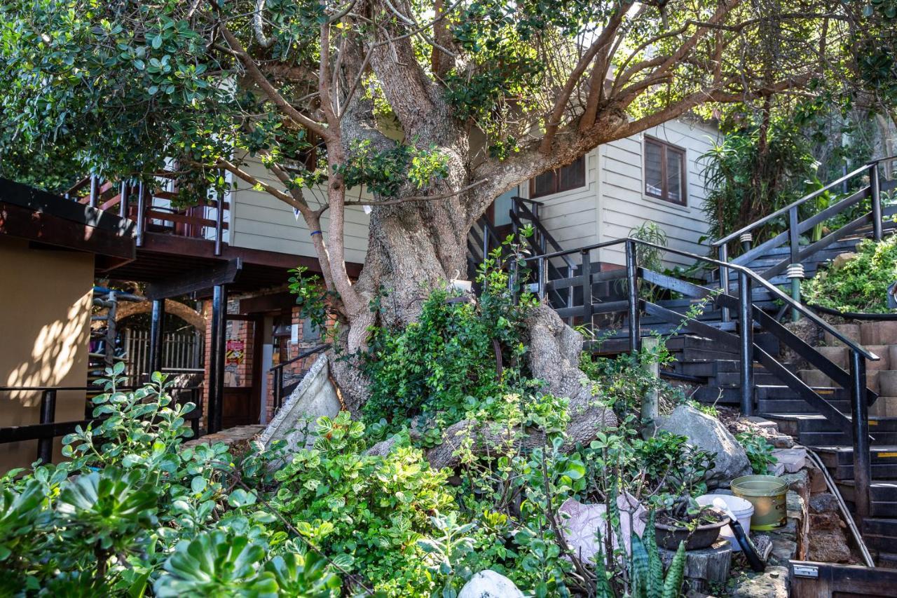 Wilderness Beach House Backpackers Lodge Ngoại thất bức ảnh
